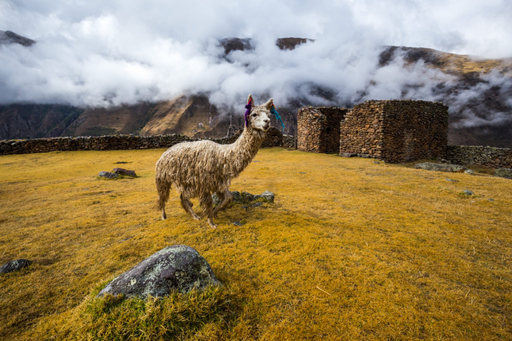 Pumamarka Inca Trail - Peru Quechuas Lodge Ollantaytambo
